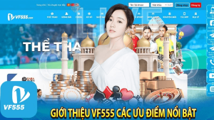 Dịch Vụ Cung Cấp tại VF555.c