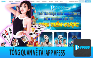 Tính năng cơ bản của VF555 app