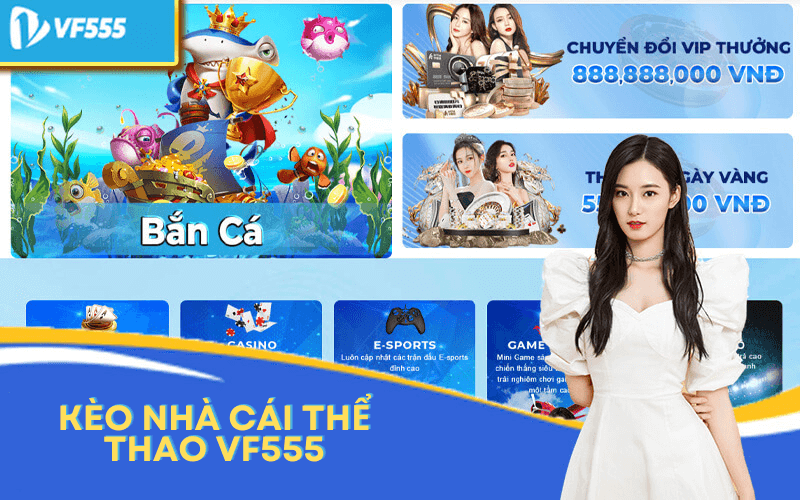 Kèo nhà cái Thể thao VF555