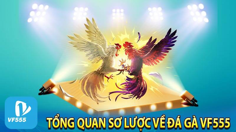 Game đá gà VF555 trực tiếp hướng dẫn chi tiết cho người mới