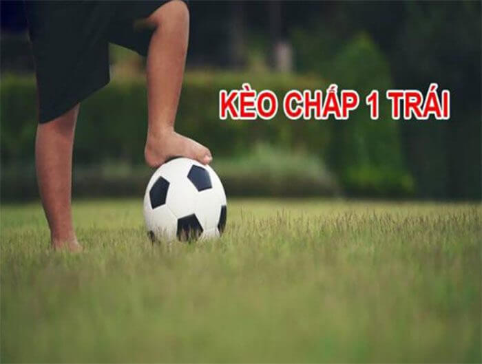 Cách tính tỷ lệ Kèo chấp 1 tại VF555