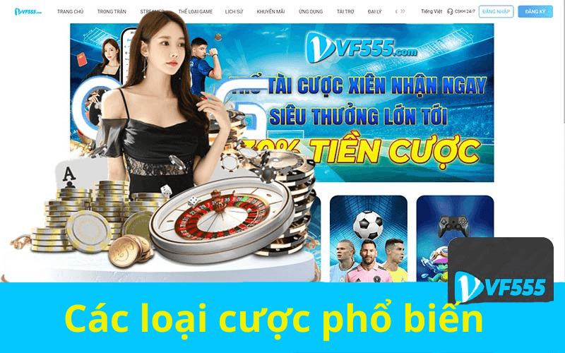 Các loại cược phổ biến tại nhà cái VF555 đặt cược com